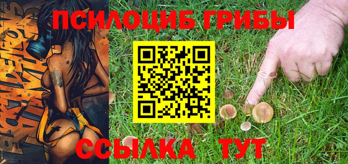 Псилоцибиновые грибы ЛСД Урюпинск